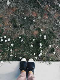 Low section of person standing on flowering plants