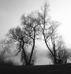 Silhouette bare tree on field against sky