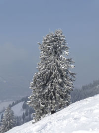 Winter mountain tour to hornle mountains, bavaria, germany