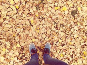 Low section of person standing in park