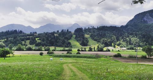 Scenic view of field against sky