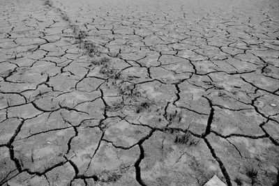 A black and white image of a drought affected land, creating natural patterns on the soil 