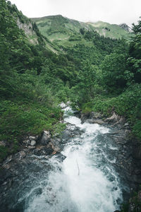 Scenic view of waterfall in forest