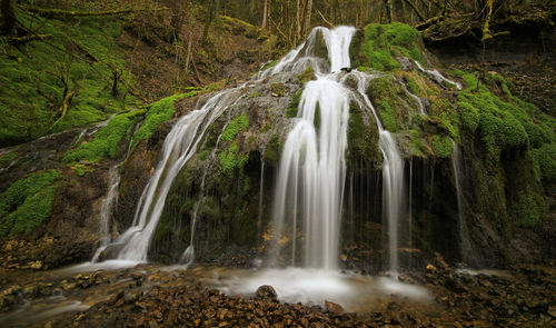 Scenic view of waterfall in forest