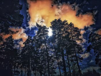 Low angle view of silhouette trees against sky during sunset