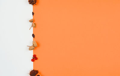 Close-up of christmas lights against orange sky