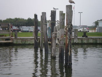 View of wooden posts in the sea
