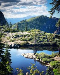 Scenic view of lake in forest against sky