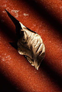 High angle view of dried leaf on table