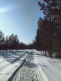 winter