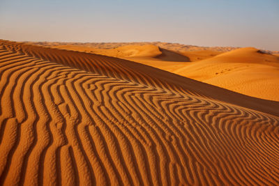 Sand dunes in the desert at sunset in dubai, close-up