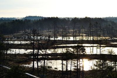 Scenic view of lake in forest against sky