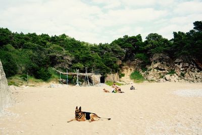 People relaxing on beach against sky