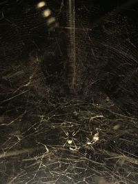 Full frame shot of illuminated spider web at night