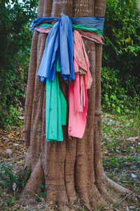 Clothes drying on tree trunk
