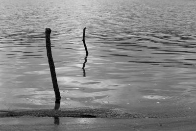 High angle view of rippled water in lake