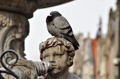 Close-up of statue against blurred background