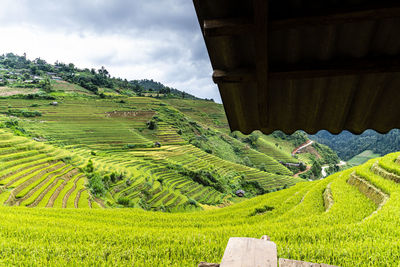 Scenic view of agricultural field against sky