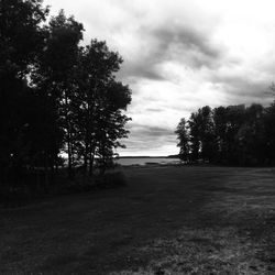 Trees on field against sky