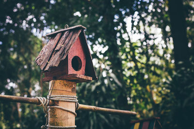 Bird house in the garden.old wooden bird house.
