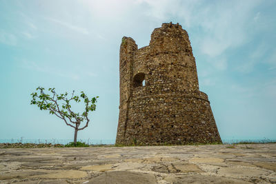 Low angle view of old ruin tree on field against sky