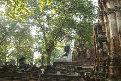 Old ruins against branches