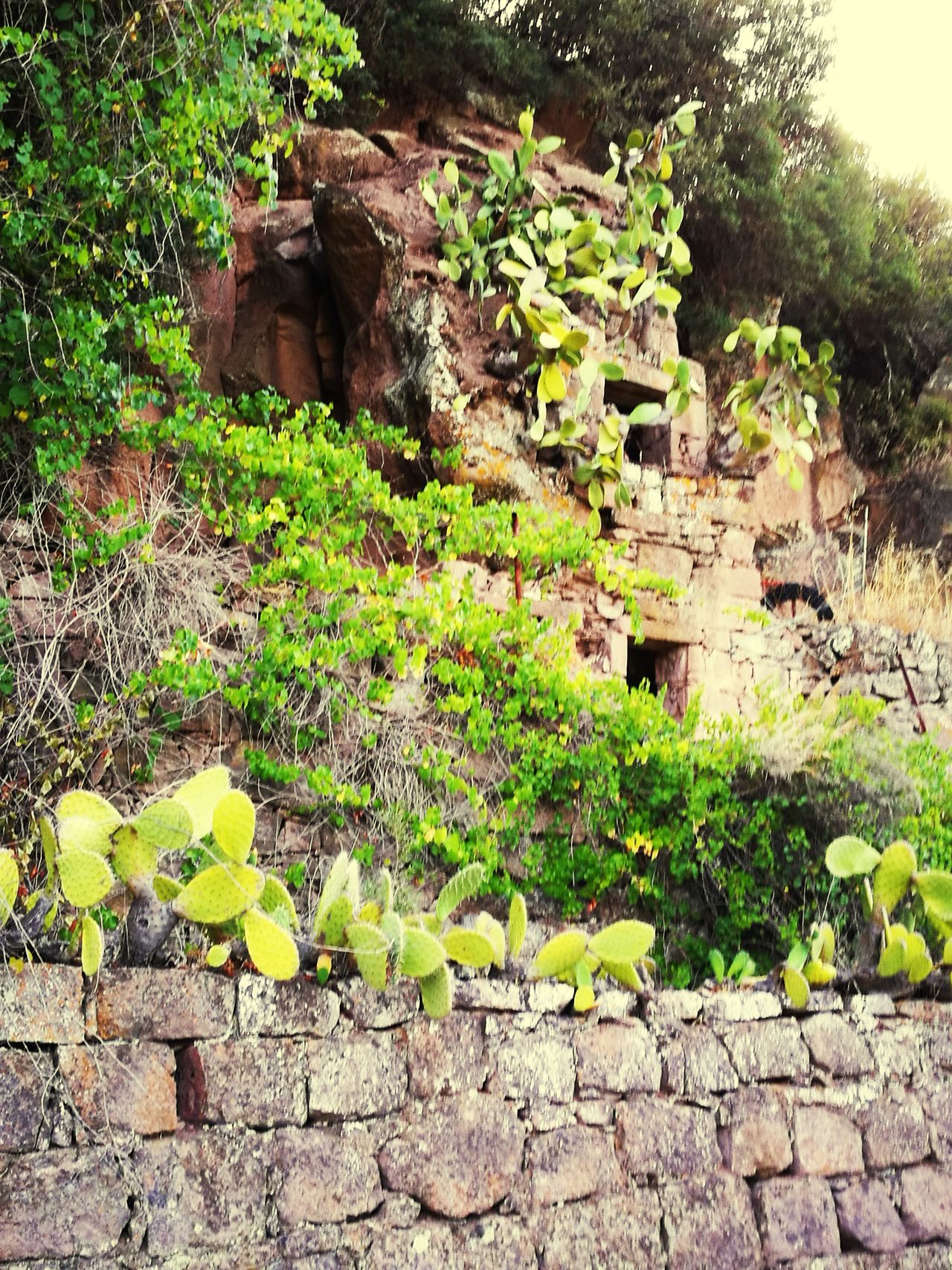 Domus de jianas sardegna