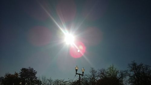 Sun shining through trees against sky