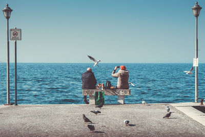 Rear view of men standing by sea against clear sky