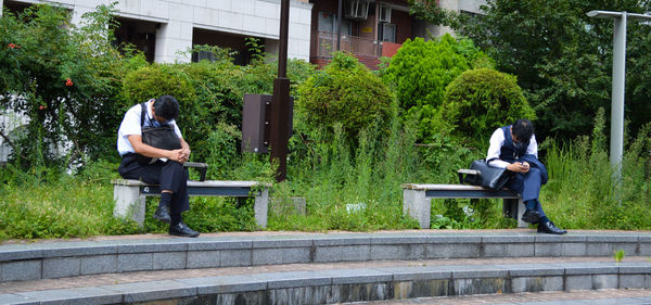 Man sitting on bench against trees