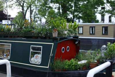 Potted plants in the garden