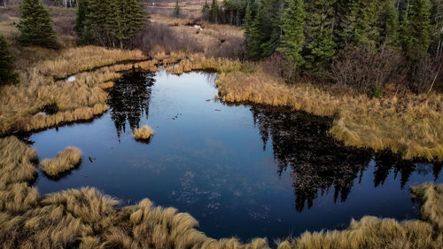 Scenic view of lake