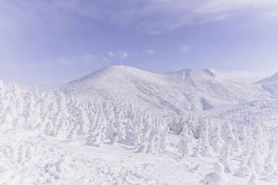 Snow covered mountain against sky