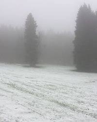 Scenic view of landscape during winter