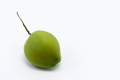 Close-up of green fruit against white background