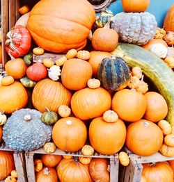 High angle view of pumpkins in market