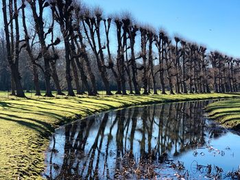 Scenic view of trees by lake against sky