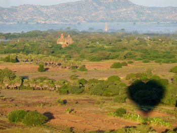 Scenic view of landscape