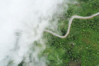 High angle view of road amidst trees on field