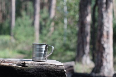 Close-up of coffee on tree trunk