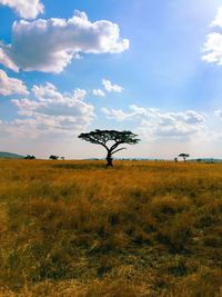 Scenic view of grassy field against sky