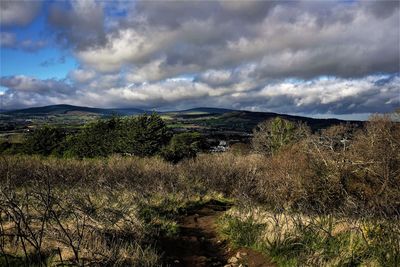 Scenic view of landscape against sky