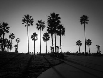 Silhouette coconut palm trees at beach against clear sky