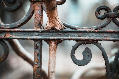 Close-up of rusty chain