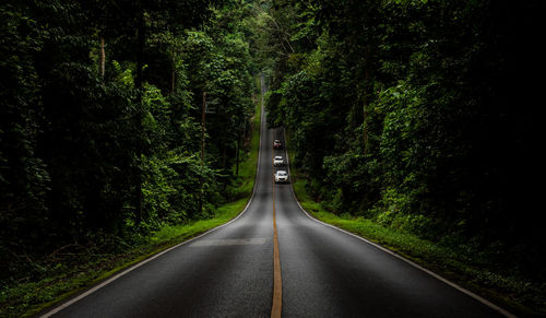 Road amidst trees in forest