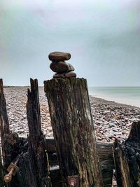 Wooden posts on beach