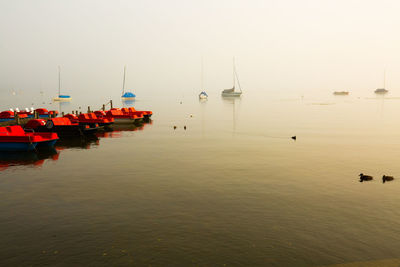 Sailboats moored in sea against clear sky