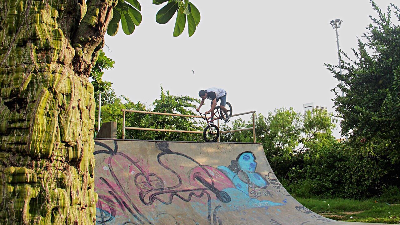 LOW ANGLE VIEW OF PERSON AGAINST TREES