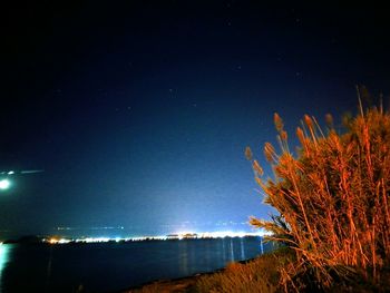 Illuminated tree by sea against sky at night