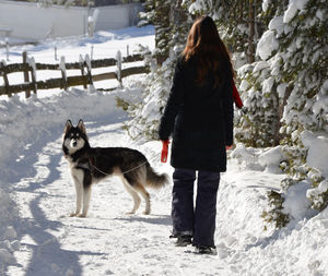 Rear view of woman with dog standing on snow